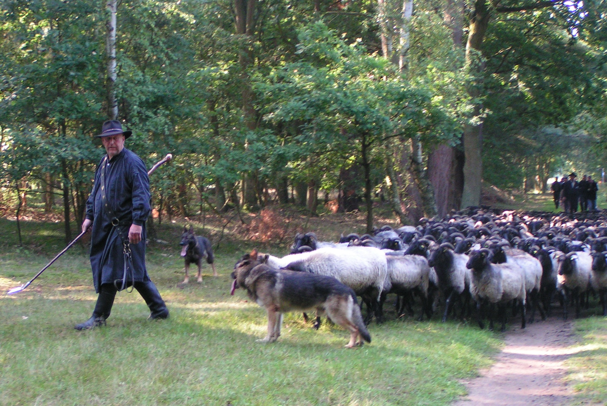 Gerd Jahnke Auf Dem Weg Zum Pferch Gerd-Jahnke-auf-dem-Weg-zum-Pferch