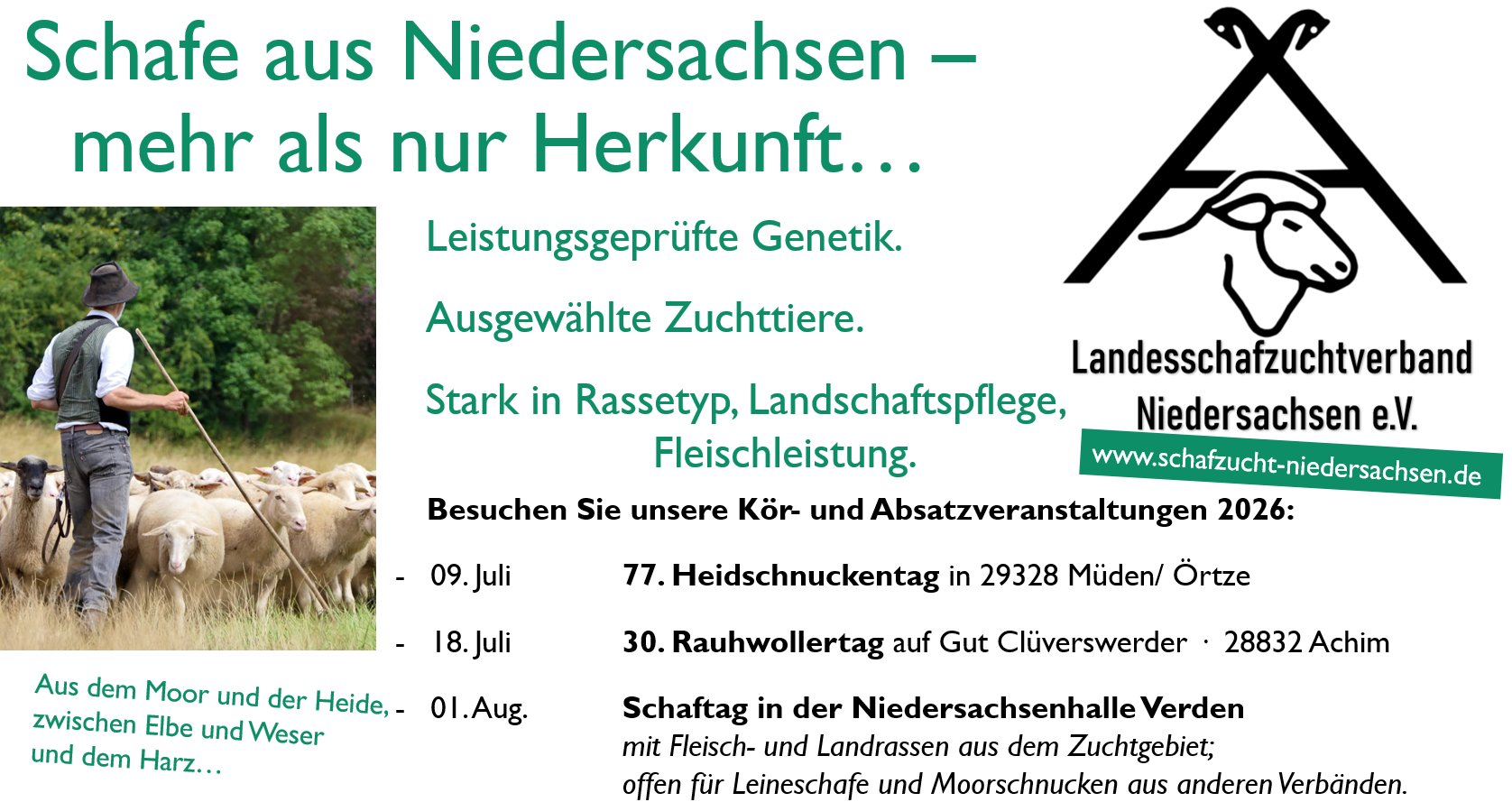 Schafe aus Niedersachsen