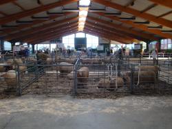 Blick in die Halle,Tag 1