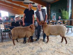 COF_LB_S(Warnke,re.)und RS(Meyer)