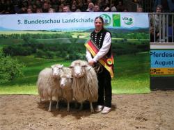 bundesschau_landschafe_2014wuesting_2013