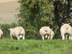 Lehrfahrt_Frankreich_2014_9