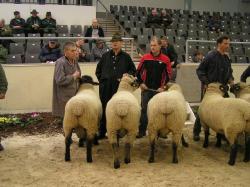 Elite-Verden 2015_3