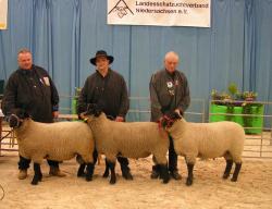 Elite-Verden 2015_9