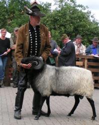 Siegerbock-2016-mit-Schäfer-Hans-Stolz