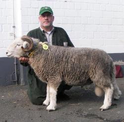 Herdwick-Verden-2018