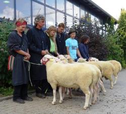 LES-Lammböcke-2-Gruppe