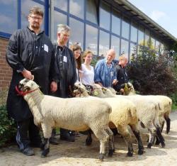 SKF-Lammböcke-Nbg-2019-Gruppe2