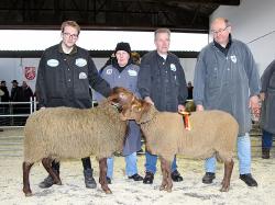 Jüngere Klasse, Sieger Bock (rechts Wachtendorf) RS (links Ostmann) (2)