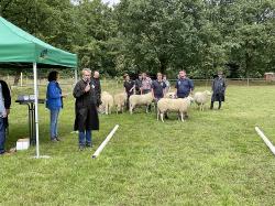 BLS_Siegerehrung_Gerdes