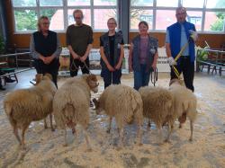 WGH_JB_6.Kl.Ia von Hollmann,li