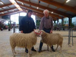 WHH_JB_Kl.8_Ia von Coldewey,r.