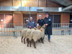 Bockauktion_Alsfeld_2025_5