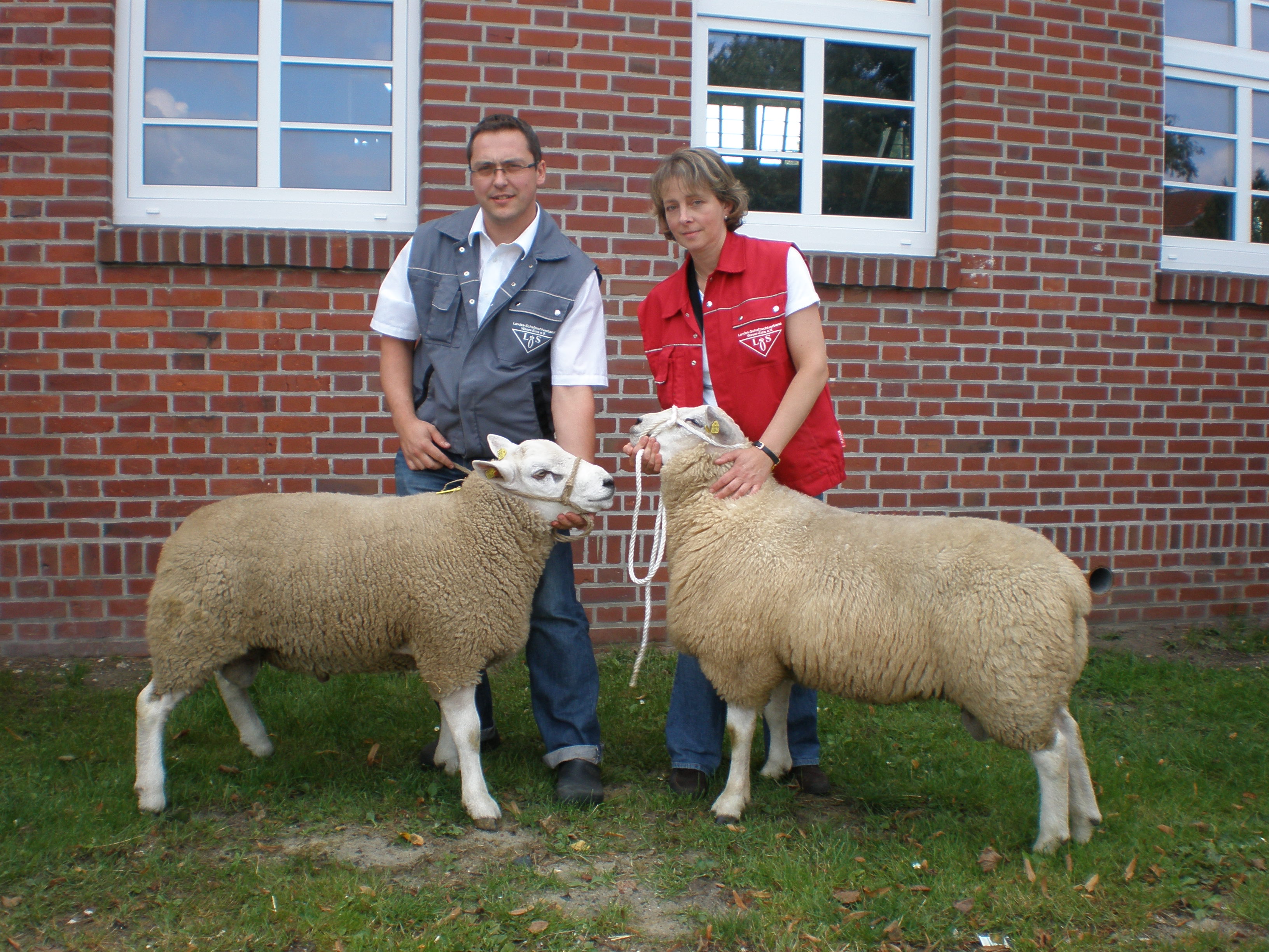 4. Schaftage Nord-West in Cloppenburg am 3./4. August 2023 in Cloppenburg