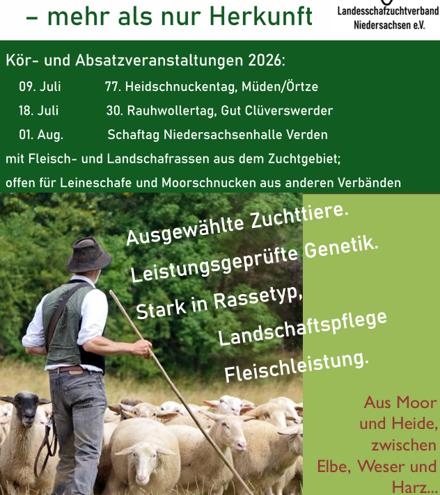Bild Schafe%20aus%20Nds 2026 Bild Schafe aus Nds 2026