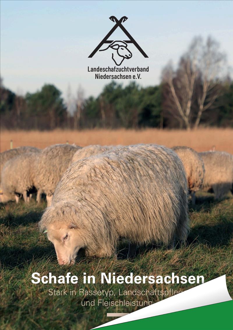 Broschren Link Bild Broschren Link bild