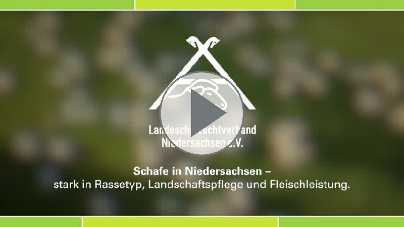 Video Link Bild Video Link Bild