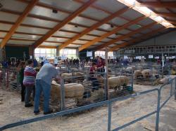 Blick in die Halle, Tag2