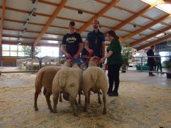 CHA_LB_Dorstmann_Ia-Bock li