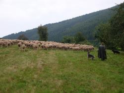 Lehrfahrt nach Baden-Württemberg_40