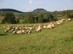 Lehrfahrt nach Baden-Württemberg_43