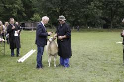 Auszeichnung an Züchter St. Blömer