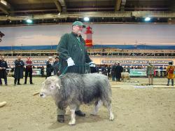 Ia_Herdwick_Kl_25a_Reinhard