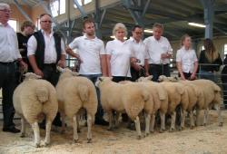 texel-CLP-2017-Lammböcke-5-1