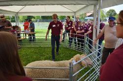 Jungzüchter_Meisterschaft_2017_003