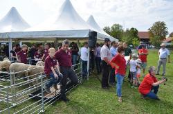 Jungzüchter_Meisterschaft_2017_005