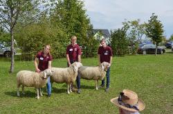 Jungzüchter_Meisterschaft_2017_028