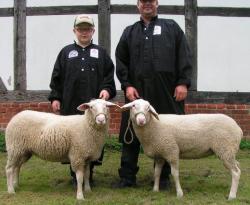 Mecklenhorst-2017-Leineschaf-Ia-Ib-Mutterlämmer-Ruröde