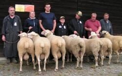 Mecklenhorst-2017-Leineschaf-Jährlingsböcke