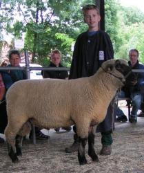 Mecklenhorst-2017-Schwarzkopf-Sieger-Pferdmenges-1