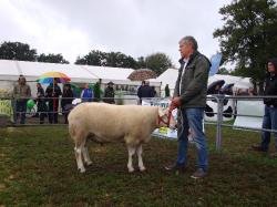 Texel,Sieger,Hoffmann