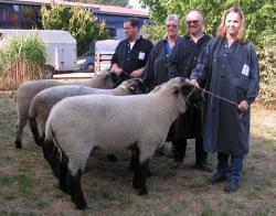 SKF-Jährlingsbockprämierung-Vorn-Ia-Bock-Zucht-Rehse