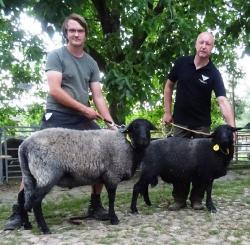 Bock-Prämierung-RPL-Tag-2019-Rechts-Dobben-Ia-Bock-Links-Supthut-Ib-Bock