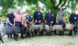 Jährlingsschaf-Prämierung-RPL-Tag-2019-Rechts-Ia-von-Gerken-Kat-37