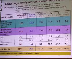 Grassilage-Inhaltsstoffe-Extensiv-Flächen-Siersleben-2023-05-11