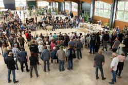 Schaftag Wüsting 2025-162