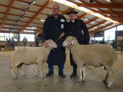 MFS_LB,29.Kl.Ia von Rehse