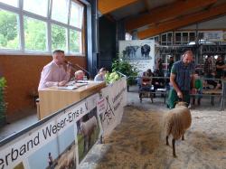 Auktionator_Nicki Nocbusch