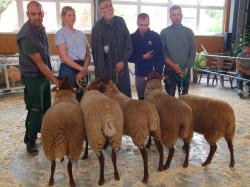 COF_ML_14.Kl._Ia von Havemann-Onnen