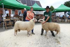 Lammöcke total 1a 1b