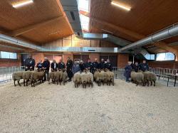 Bockauktion_Alsfeld_2025_Sammlungen