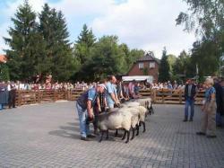 Müden 2002 