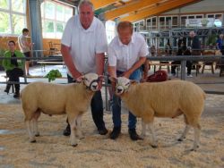 TEX LB_S_Bremerreu._RS_Lübkemann