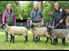 RPL-Tag-2022-Prämierung-Schafe