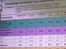 Grassilage-Inhaltsstoffe-Extensiv-Flächen-Siersleben-2023-05-11